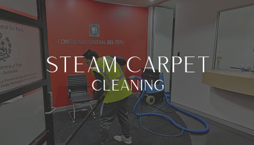 STEAM