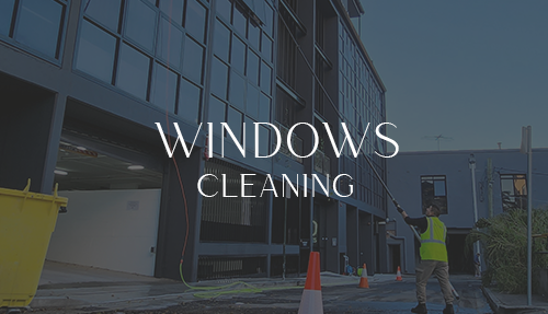 WINDOWS